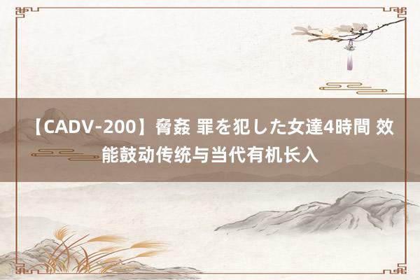 【CADV-200】脅姦 罪を犯した女達4時間 效能鼓动传统与当代有机长入