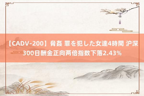 【CADV-200】脅姦 罪を犯した女達4時間 沪深300日酬金正向两倍指数下落2.43%