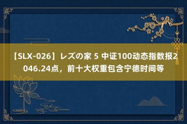 【SLX-026】レズの家 5 中证100动态指数报2046.24点，前十大权重包含宁德时间等