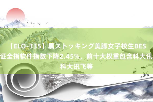 【ELO-335】黒ストッキング美脚女子校生BEST 中证全指软件指数下降2.45%，前十大权重包含科大讯飞等