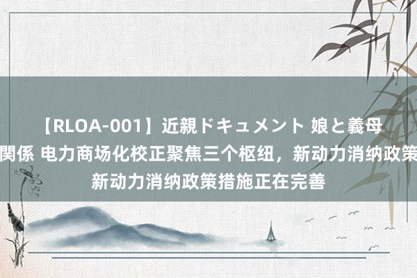 【RLOA-001】近親ドキュメント 娘と義母の禁じられた関係 电力商场化校正聚焦三个枢纽，新动力消纳政策措施正在完善