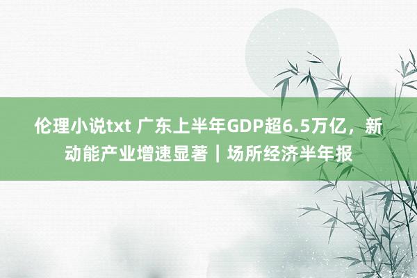 伦理小说txt 广东上半年GDP超6.5万亿，新动能产业增速显著｜场所经济半年报