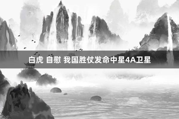 白虎 自慰 我国胜仗发命中星4A卫星