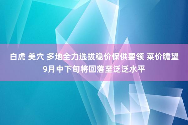 白虎 美穴 多地全力选拔稳价保供要领 菜价瞻望9月中下旬将回落至泛泛水平