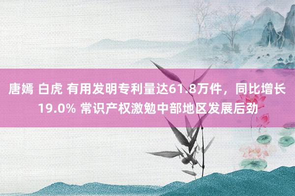 唐嫣 白虎 有用发明专利量达61.8万件，同比增长19.0% 常识产权激勉中部地区发展后劲