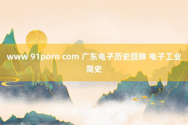 www 91porn com 广东电子历史回眸 电子工业简史