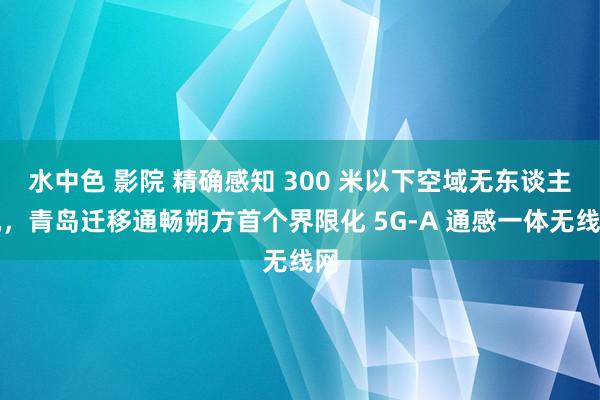 水中色 影院 精确感知 300 米以下空域无东谈主机，青岛迁移通畅朔方首个界限化 5G-A 通感一体无线网