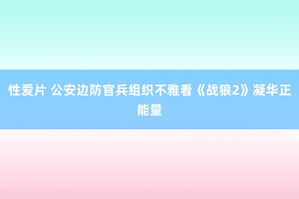 性爱片 公安边防官兵组织不雅看《战狼2》凝华正能量