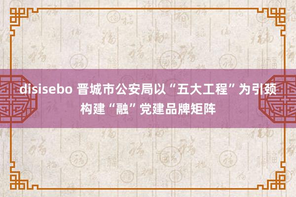 disisebo 晋城市公安局以“五大工程”为引颈构建“融”党建品牌矩阵